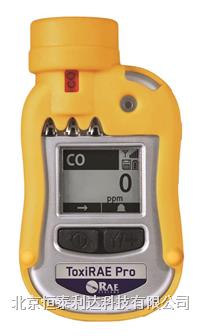 氧气/ 有毒气体检测仪PGM-1860