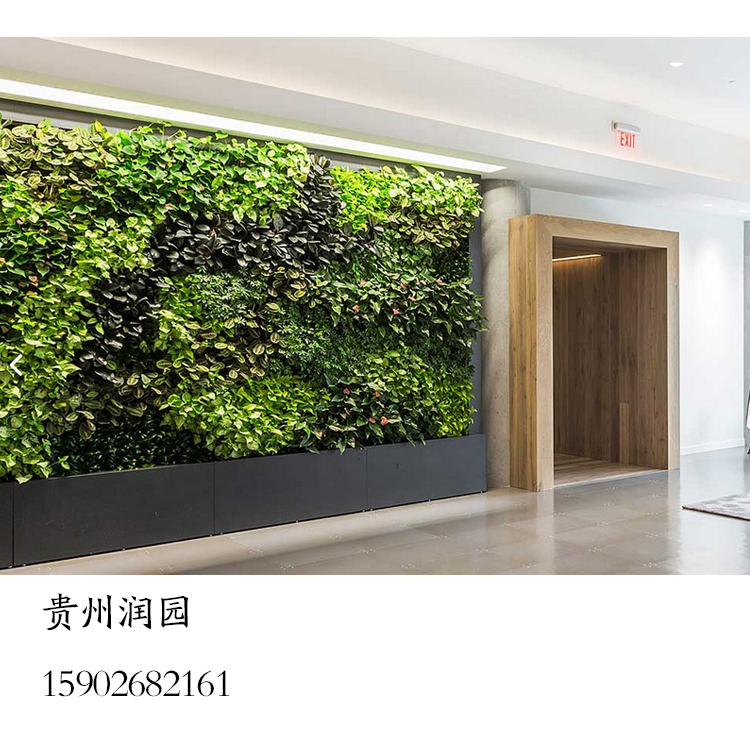 植物景观设计贵阳遵义植物景观设计施工单位签订毕节墙壁绿化工程，壁挂花盆设计合同