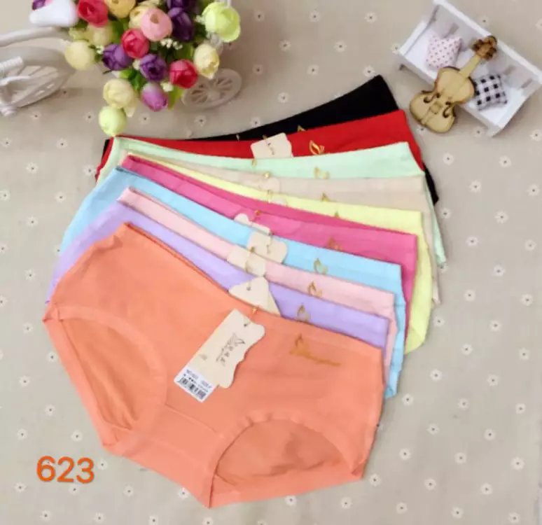 揭阳市生产销售莫代少女内裤623厂家
