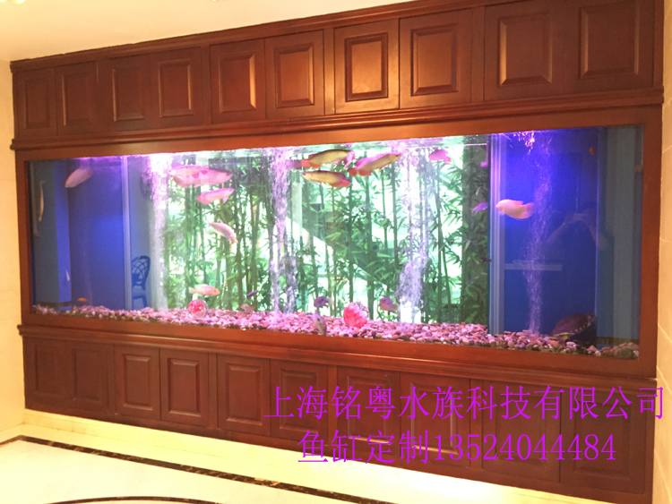 铭粤水族承接大型玻璃生态观赏鱼缸 海水鲨鱼水族箱
