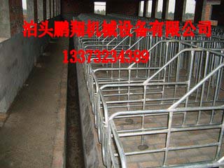 鹏翔养猪厂供应养猪设备|母猪定位栏 肥猪限位栏直销价格 猪用定位栏