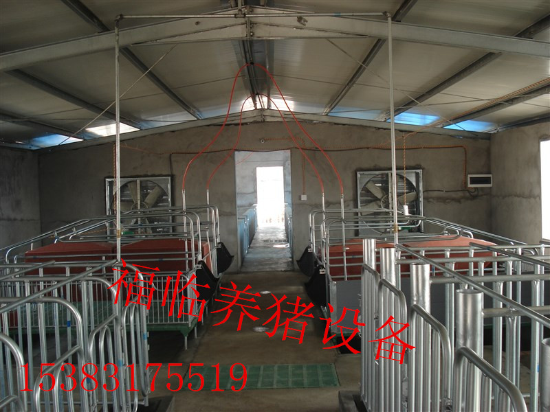 养猪设备生产厂家产床保育床限位栏