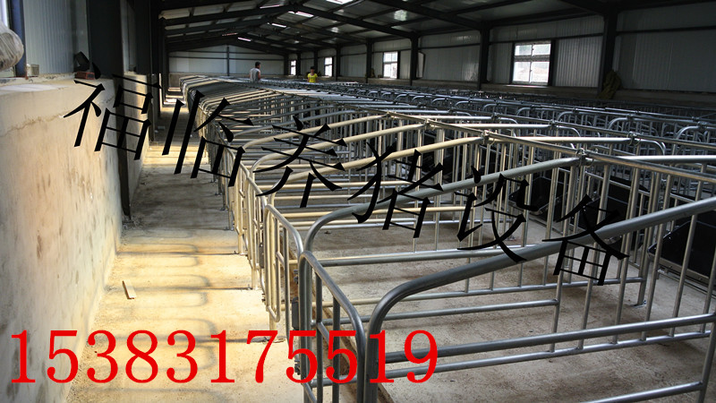 养猪设备生产厂家产床保育床限位栏