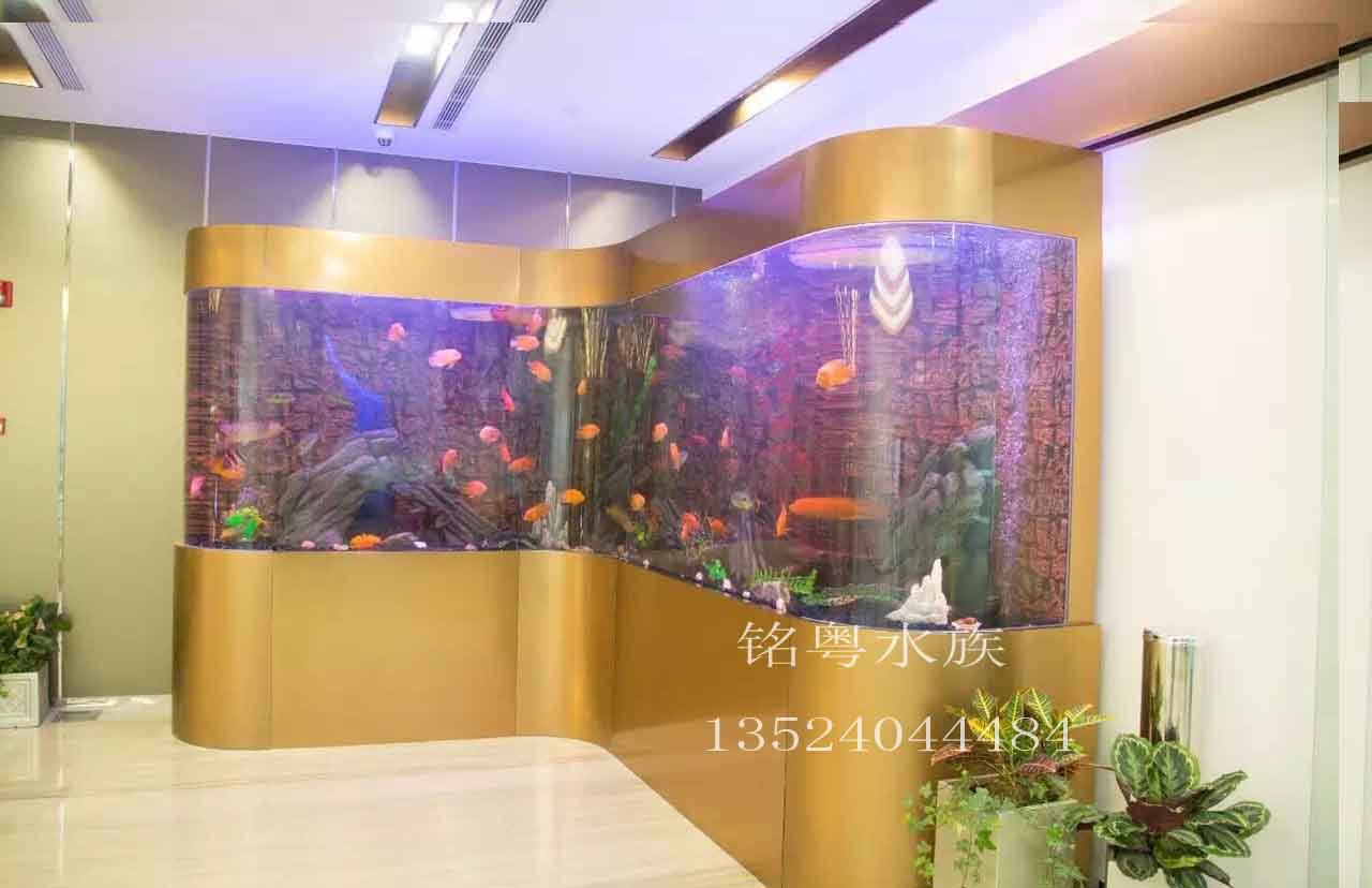 鱼缸厂家生产大型亚克力水族箱 办公室鱼缸 龙鱼造景图片