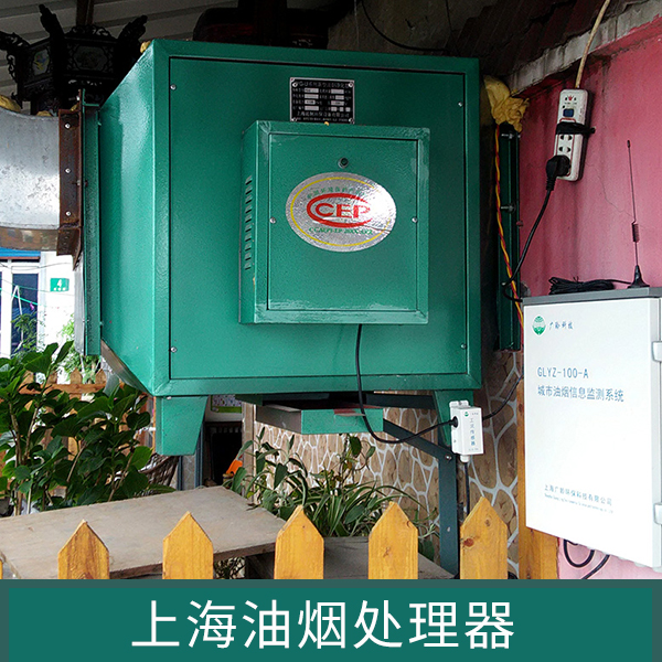 上海油烟处理器厨房脱排油烟气味异味臭味废气处理设备厂家直销
