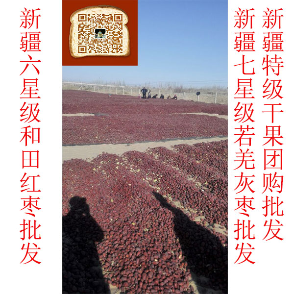 深圳市新疆红枣生产厂家 优质红枣来自和田大枣.深圳图片