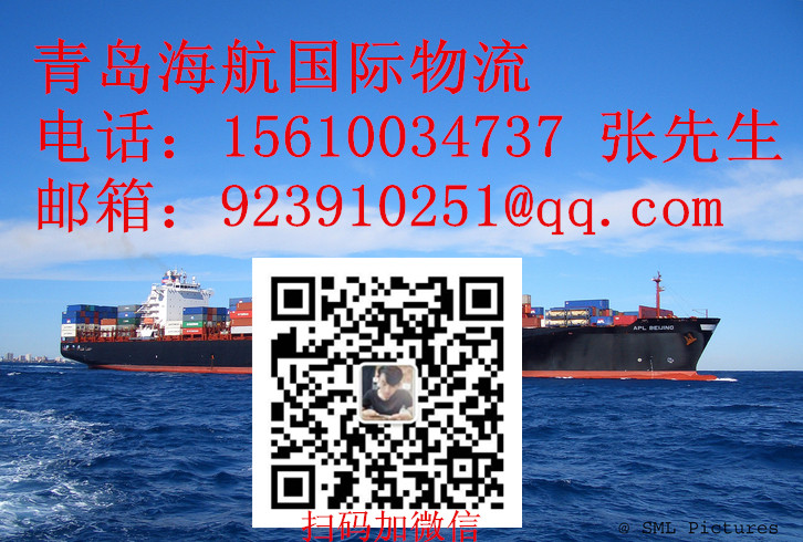 青岛海运费，国内外集装箱运输，租船订舱，陆运拖车