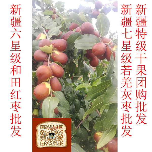 优质新疆特级红枣特产厂家直销批发 绿色食品养血香脆