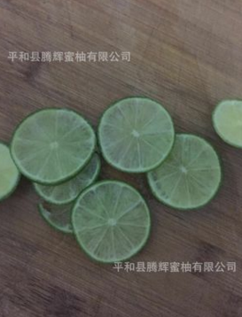 厂家批发台湾无籽青柠檬苗 四季青柠檬苗 柠檬苗 四季柠檬树苗 新品种图片