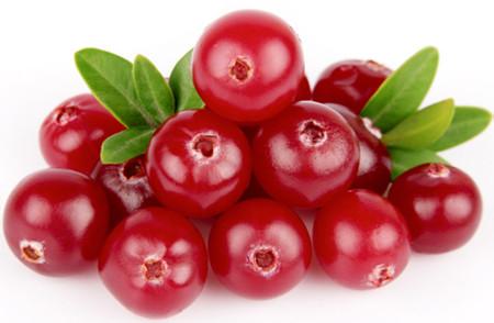供应法国进口Exocyan™蔓越莓提取物/浓缩粉
