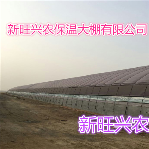 新旺兴农养殖大棚8603热镀锌钢架大棚建设生产