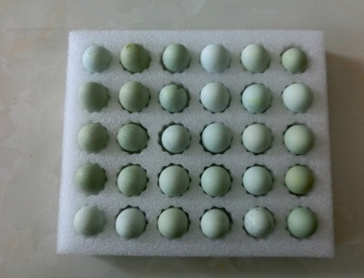 厂家批发珍珠绵定制 18KG30枚装绿壳鸡蛋托 白色epe珍珠棉图片