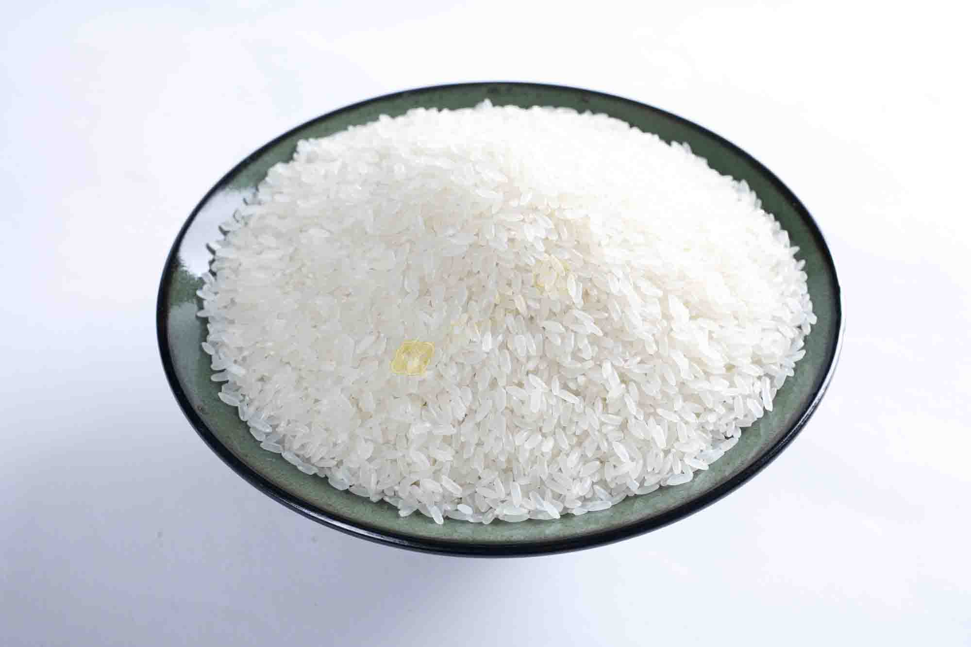 安徽水稻种植  水稻批发