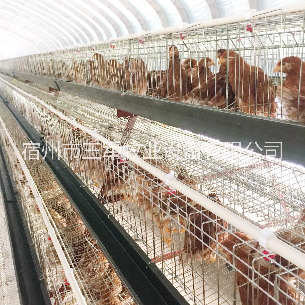 阶梯式成套蛋鸡笼三军牧业厂家直销高强度养殖场鸡笼组装图片