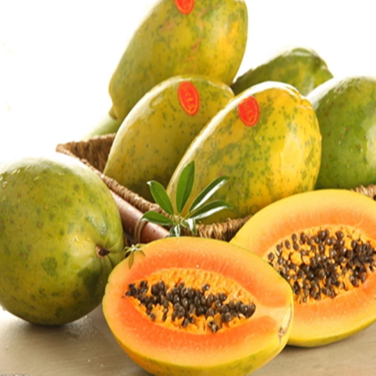 木瓜粉海南厂家供应 用于水果粉生产的海南食品原料粉 海南木瓜粉图片