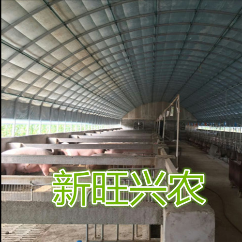 新旺兴农热镀锌钢架大棚生产厂家质量优