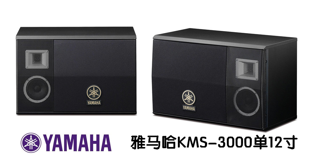 广州市12寸音响雅马哈KMS-3000厂家