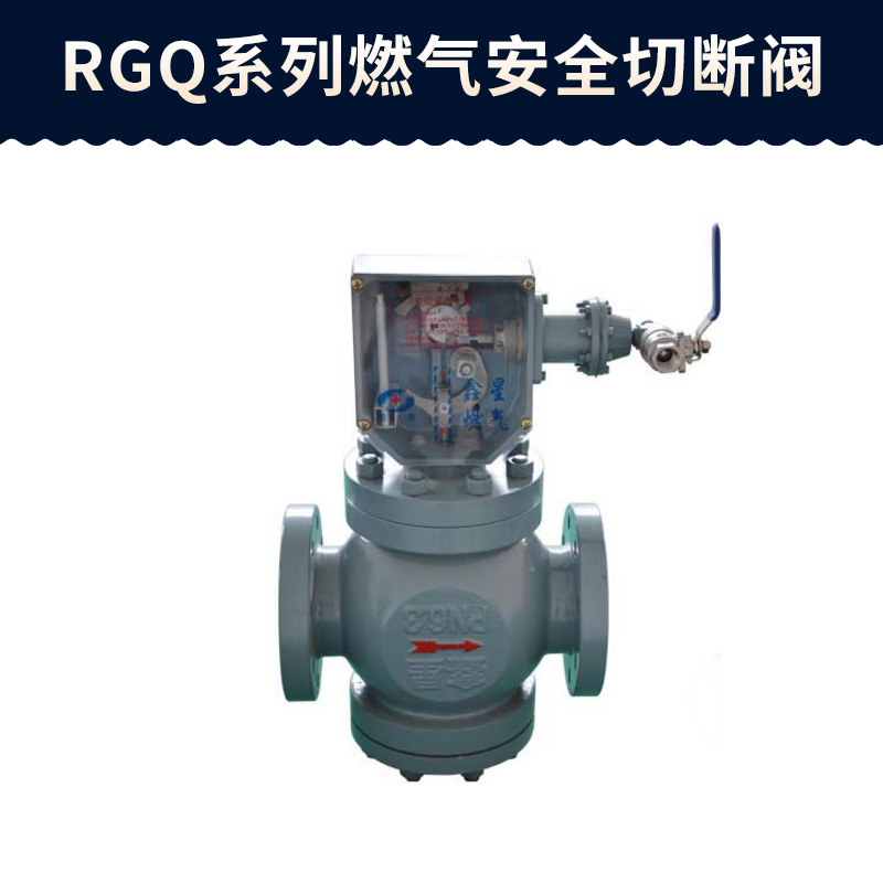 RGQ系列燃气安全切断阀 燃气压力监控安全切断阀门厂家直销