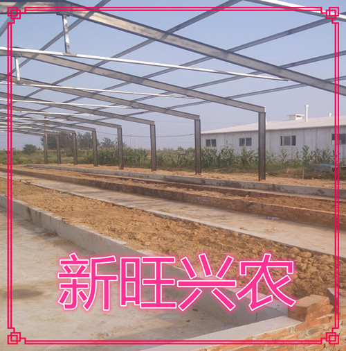 新旺兴农养殖大棚8603热镀锌钢架大棚建设生产