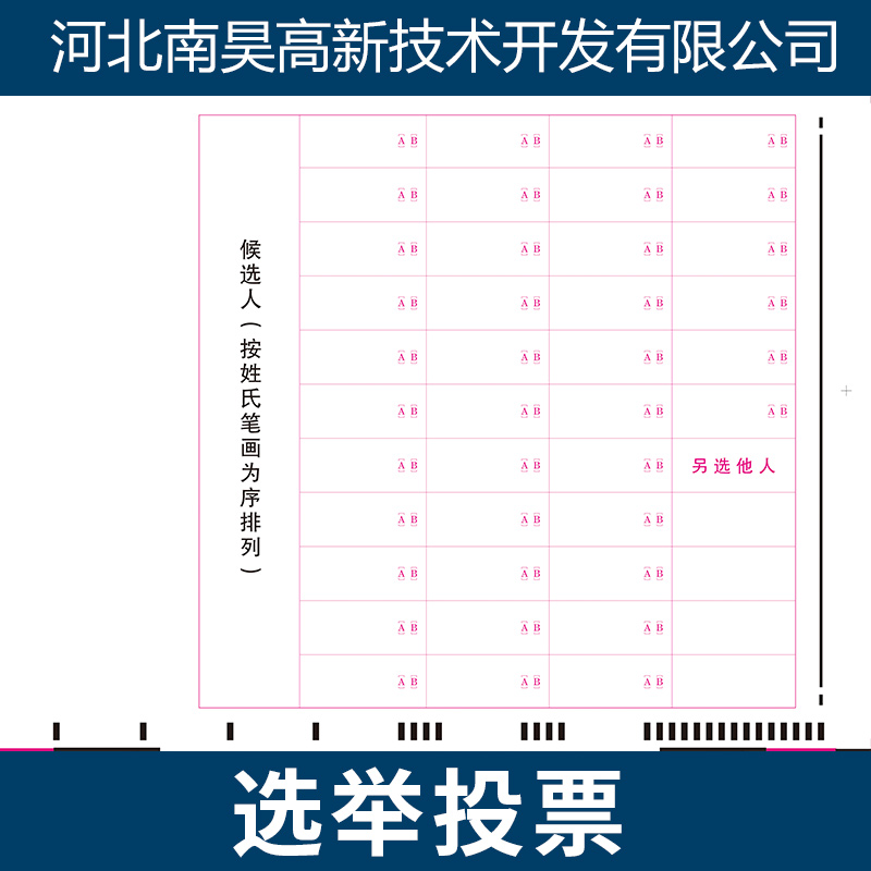 选举投票批发