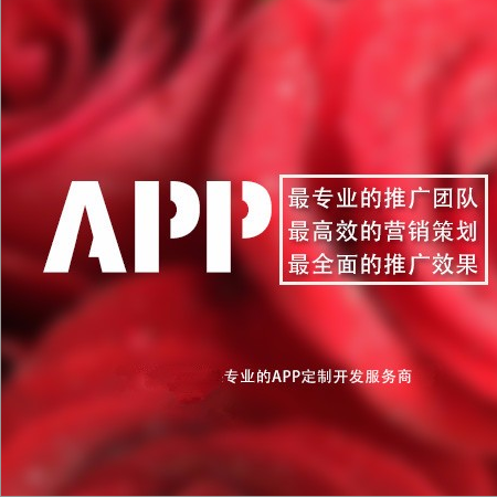 潍坊专业网站建设 潍坊专业网站建设，app开发