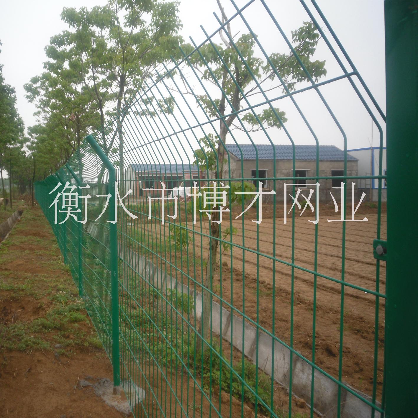 丹东铁丝网围栏厂家、哪里有卖圈地围栏网的厂家？养鸡铁丝网规格报价图片