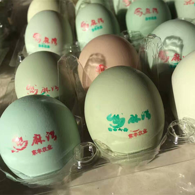 绿壳鸡蛋农家自产绿壳土鸡蛋农林散养新鲜草鸡蛋满90枚包邮图片
