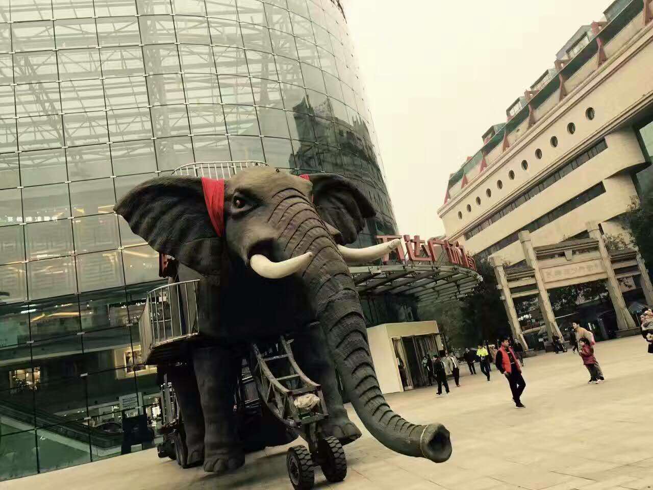 大象雨屋展览道具租赁  批量出售 上海大象雨屋展览道具租赁