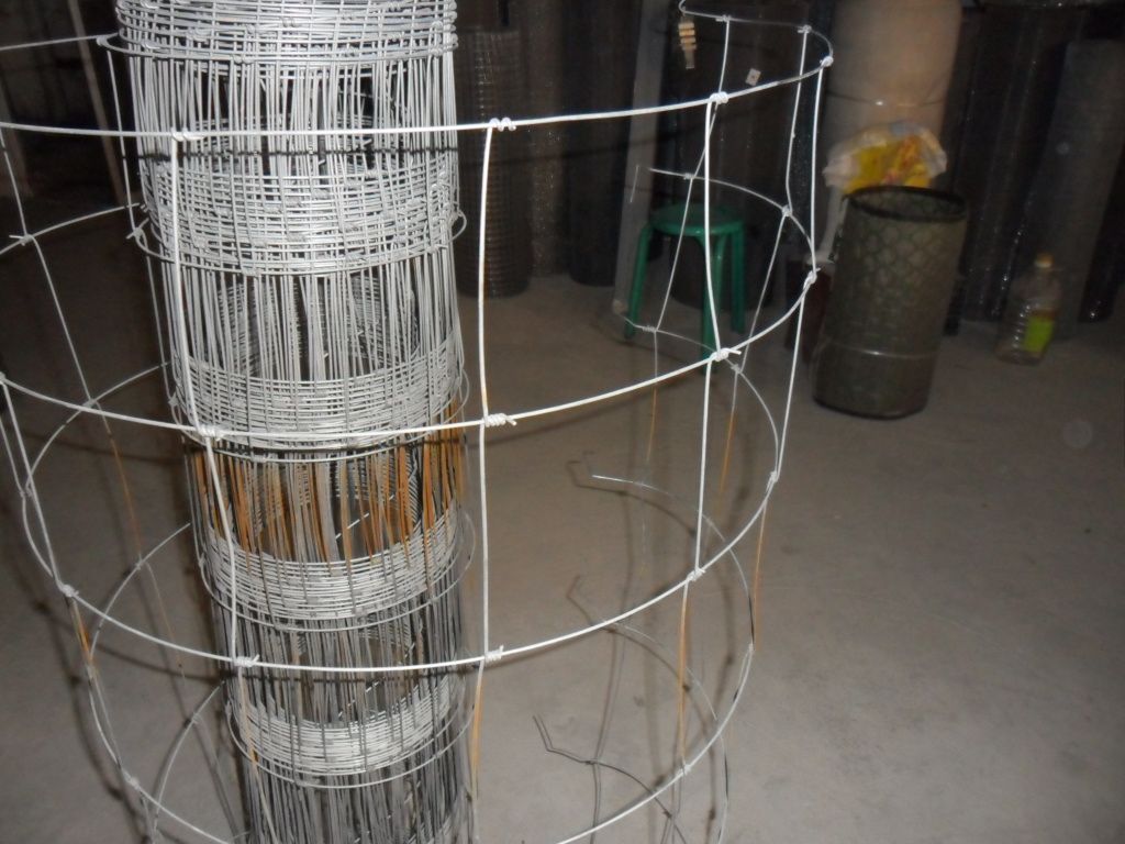 筛网 滤布 不锈钢网  电焊网