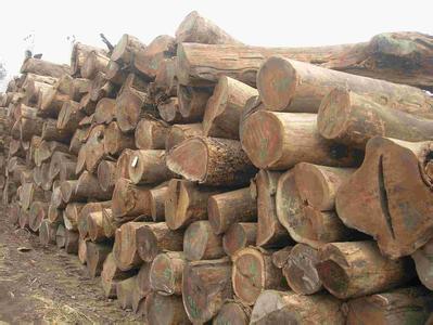 大连进口美洲木材报关关税大连进口美洲木材报关关税