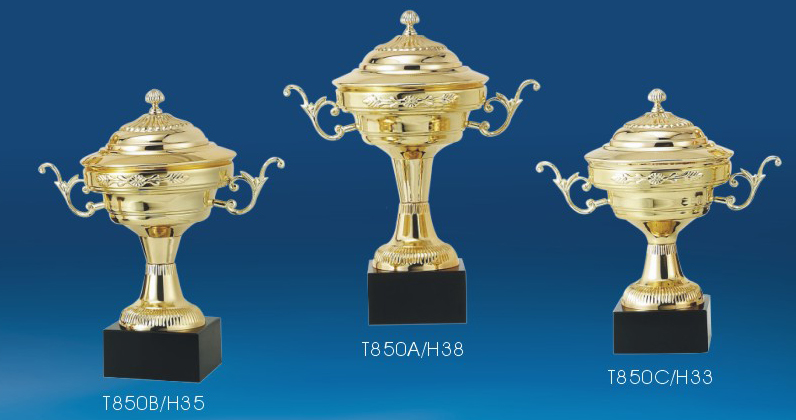 个人表彰奖杯，田径比赛奖杯，运动会比赛纪念杯，厂家奖杯销售