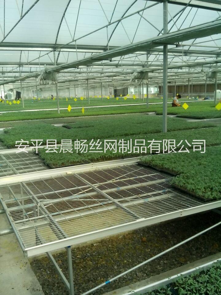 北京温室苗床公司合作厂家-晨畅图片
