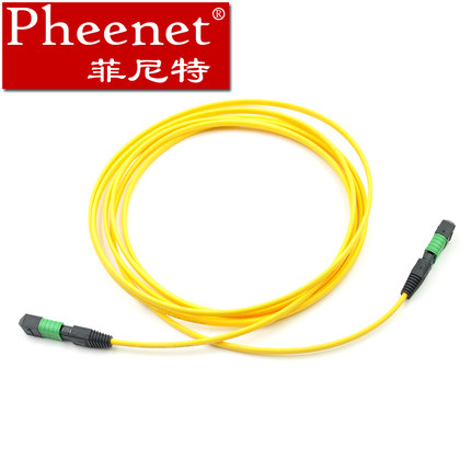 Pheenet菲尼特12芯3米单模万兆 MTP光纤线 MTP光纤跳线