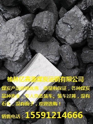 长期供应陕西煤炭陕北52气化煤肥煤高热量煤炭批发图片