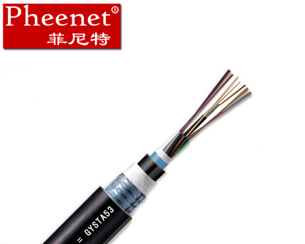 Pheenet12芯光缆光缆的具体的特点及用途图片