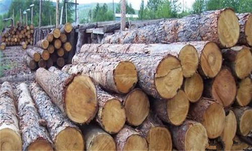 非洲原木木材进口报关清关全套代理图片