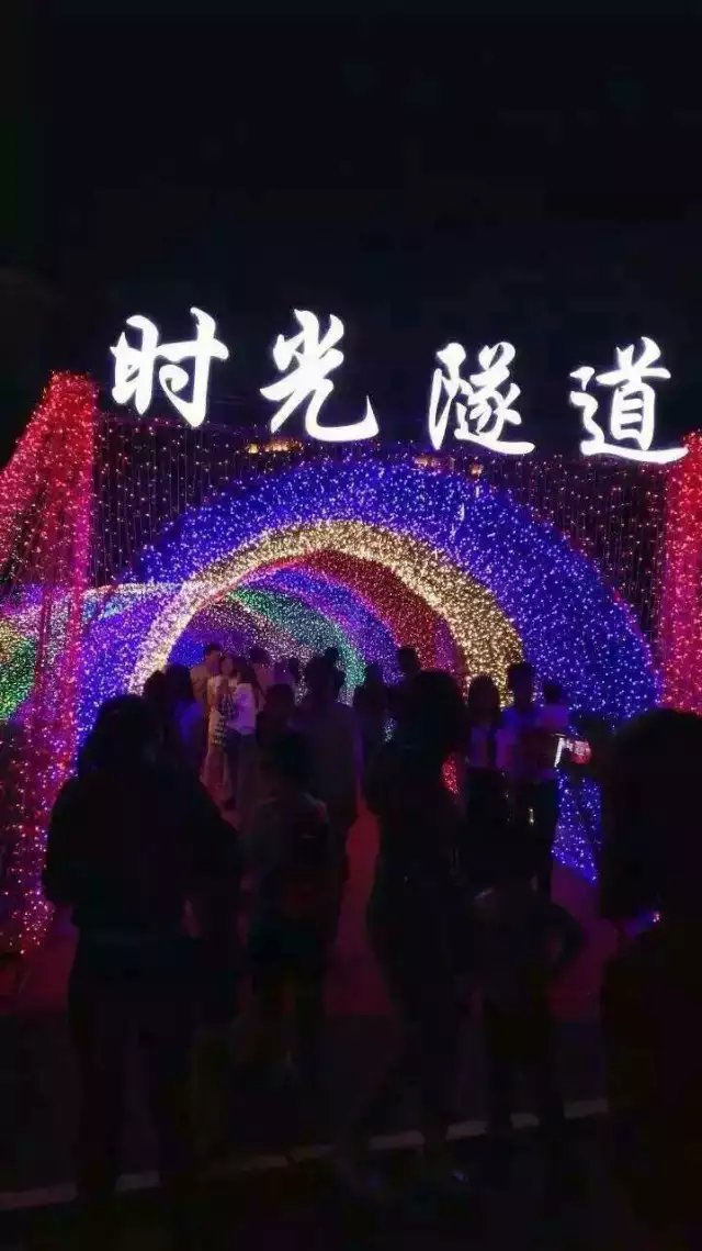 灯光节产品厂家 灯光节厂家 led室外灯光节制造租赁厂家 玫瑰灯