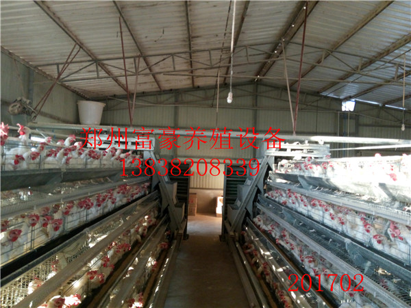 郑州市自动化养鸡设备 蛋鸡笼生产厂家厂家