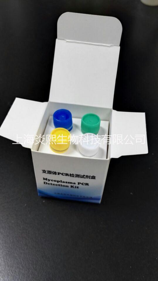 上海市支原体PCR检测试剂盒厂家