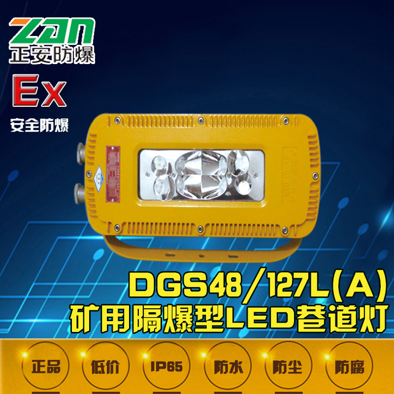 DGS10（24）127L（A）矿用隔爆型LED巷道灯 LED防爆灯 防爆型灯具