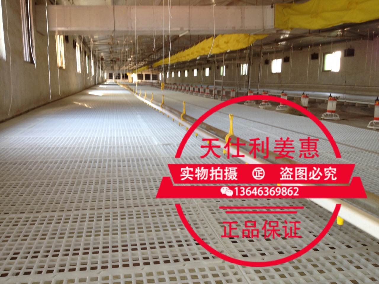 潍坊市养鸡养鸭塑料漏粪地板塑料漏粪板厂家