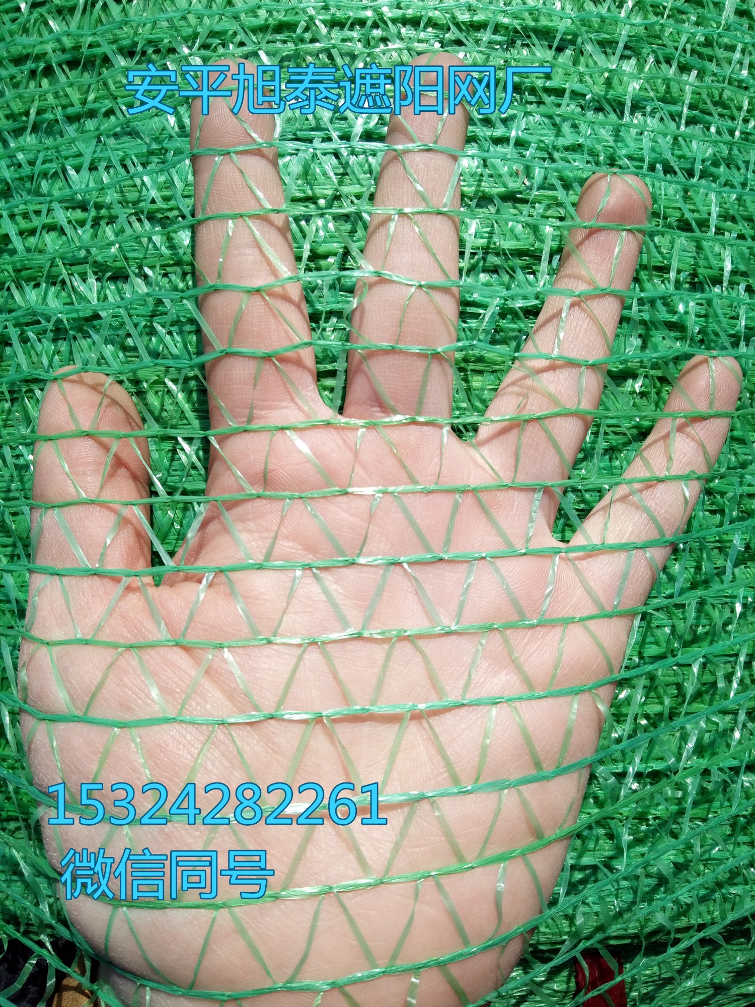 厂家专业供应绿色2针盖土网遮阳网