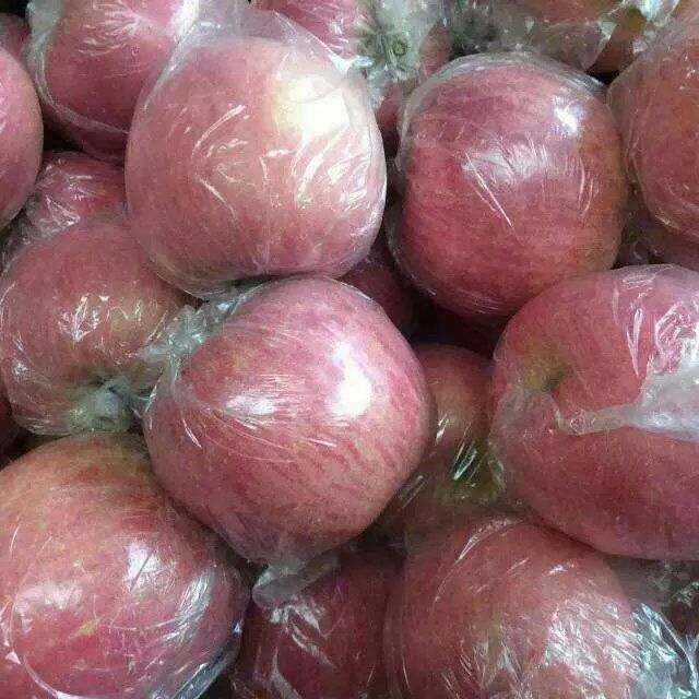 山东苹果产地红富士苹果批发多少钱一斤水晶富士苹果图片