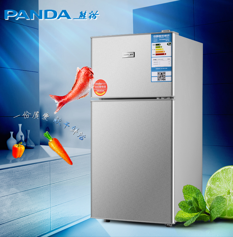 PANDA/熊猫BCD-102熊猫牌冰箱双门冰箱图片