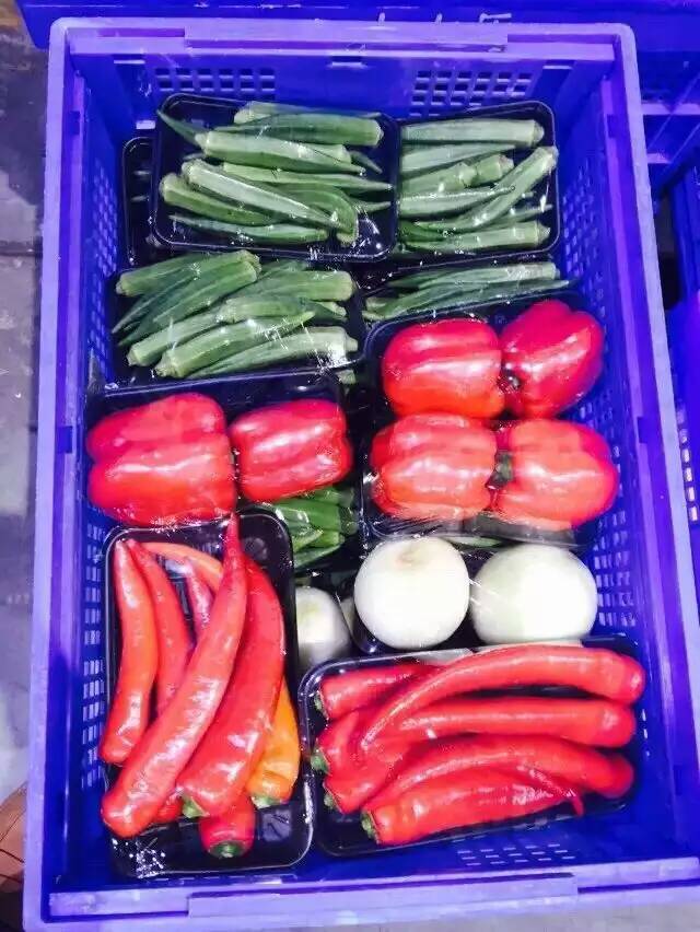 广州蔬菜配送公司、广州送菜公司，红豆蔬菜配送新鲜食材，当天采摘图片
