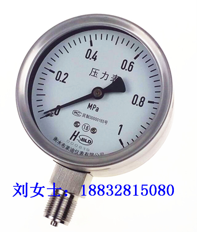 加工定制不锈钢压力表厂销304压力表Y100-B0-0.6,1,1.6,2.5,4,6,布莱迪不锈钢压力表图片