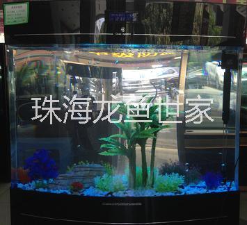 珠海生态鱼缸批发  亚克力鱼缸  观赏鱼缸  金龙鱼鱼缸
