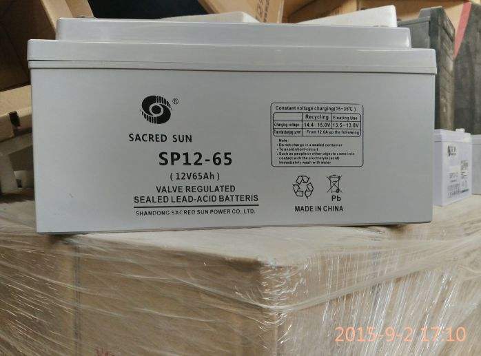圣阳蓄电池SP12-10012V100AHups蓄电池价格图片