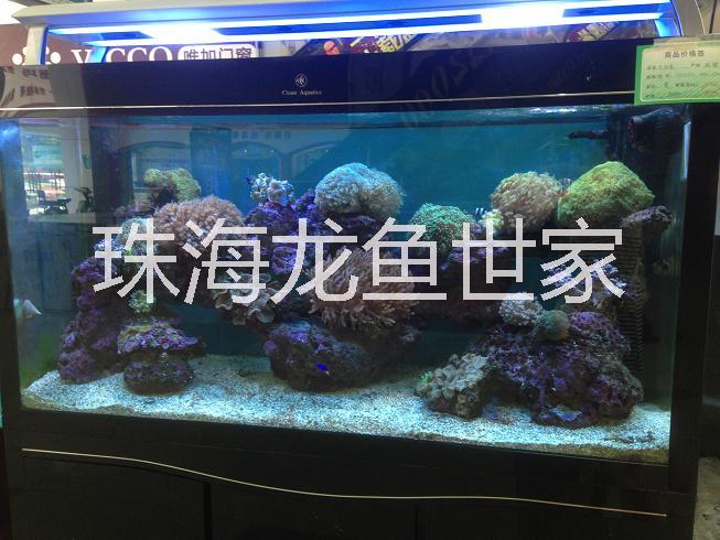 批量销售亚克力鱼缸 珠海珊瑚鱼缸定做 亚克力鱼缸定做