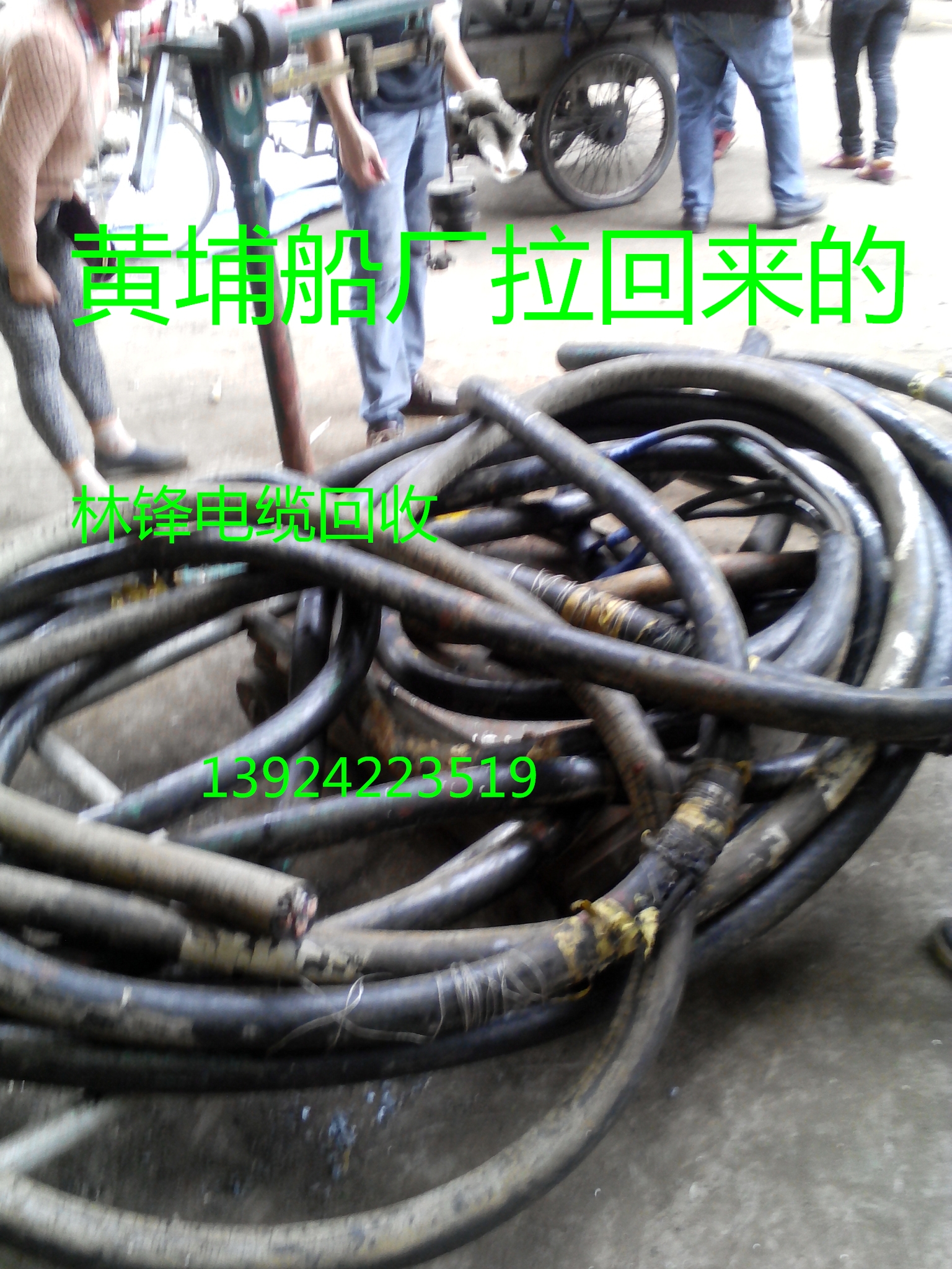 电线回收广州回收长期专业条类电图片